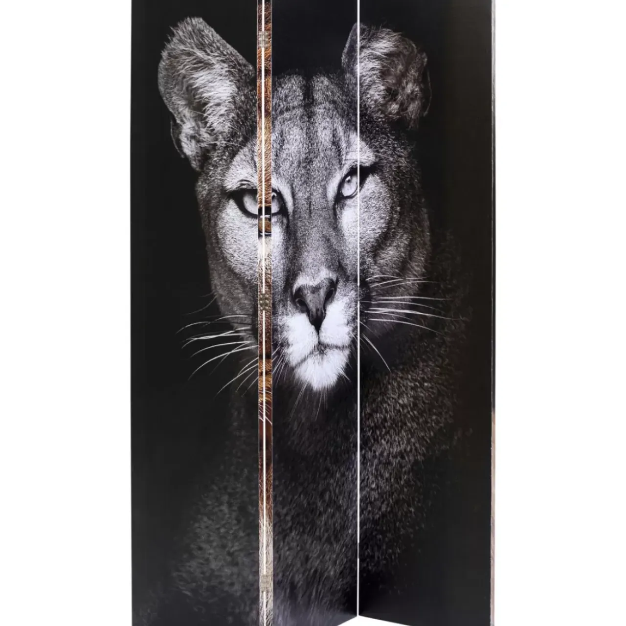 Paravents-KARE Design Paravent King Lion Vs Cat Girl 120X180Cm