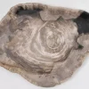 Geschirr & Tischaccessoires-KARE Design Platte Magisch Versteinertes Holz