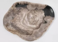 Geschirr & Tischaccessoires-KARE Design Platte Magisch Versteinertes Holz