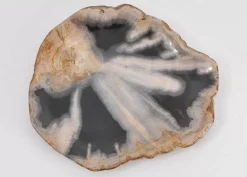 Geschirr & Tischaccessoires-KARE Design Platte Toverland Versteinertes Holz