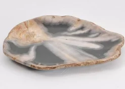 Geschirr & Tischaccessoires-KARE Design Platte Toverland Versteinertes Holz