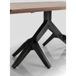 Tische-KARE Design Tisch Roots Dark 220X100Cm