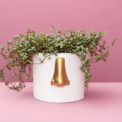 Sonstiges & Zubehör Accessoires-KARE Design Ubertopf Nase Weiss/Gold