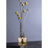 Vasen-KARE Design Vase La Noble 27Cm