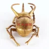 Bilder-KARE Design Wandschmuck Atlas Beetle Gold