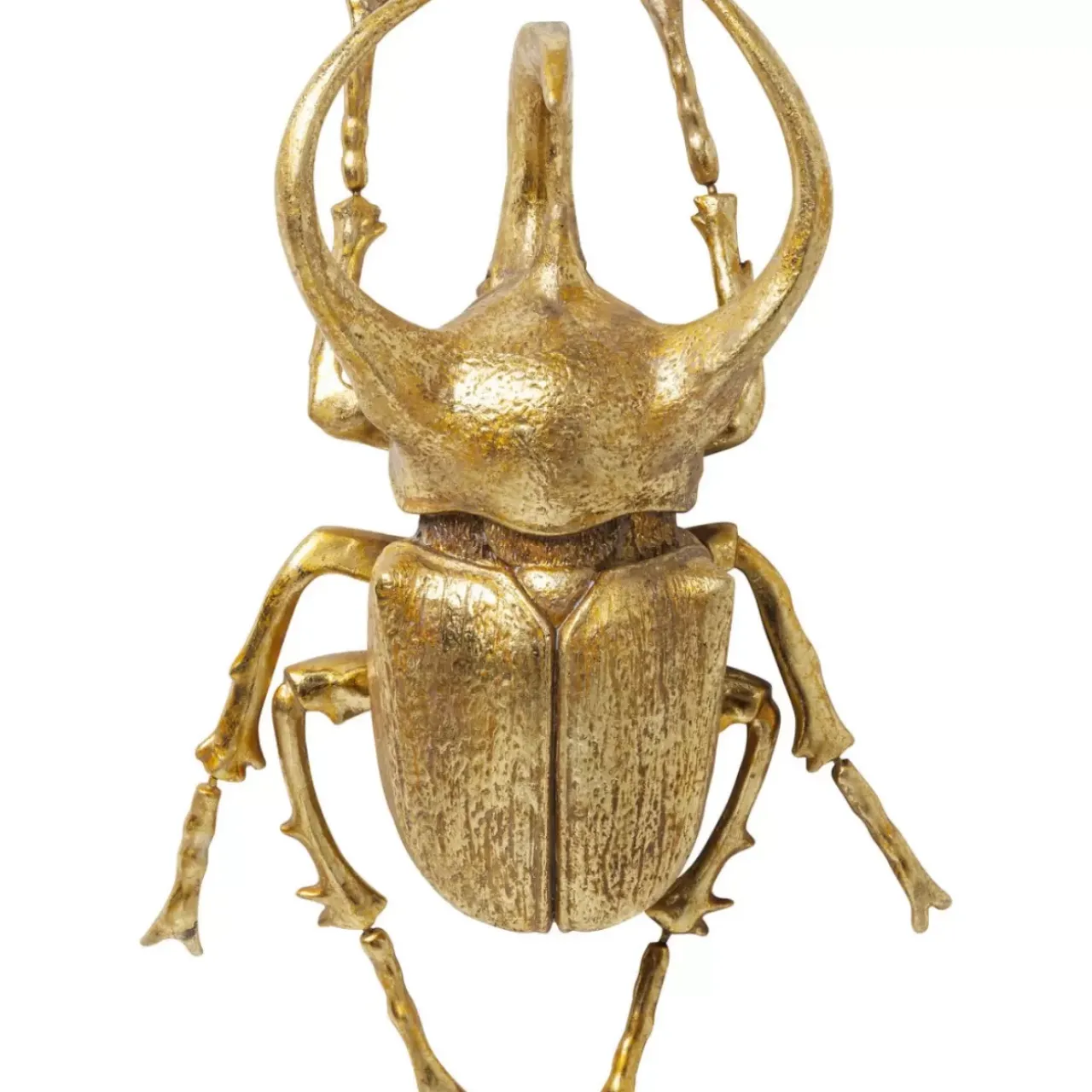Bilder-KARE Design Wandschmuck Atlas Beetle Gold