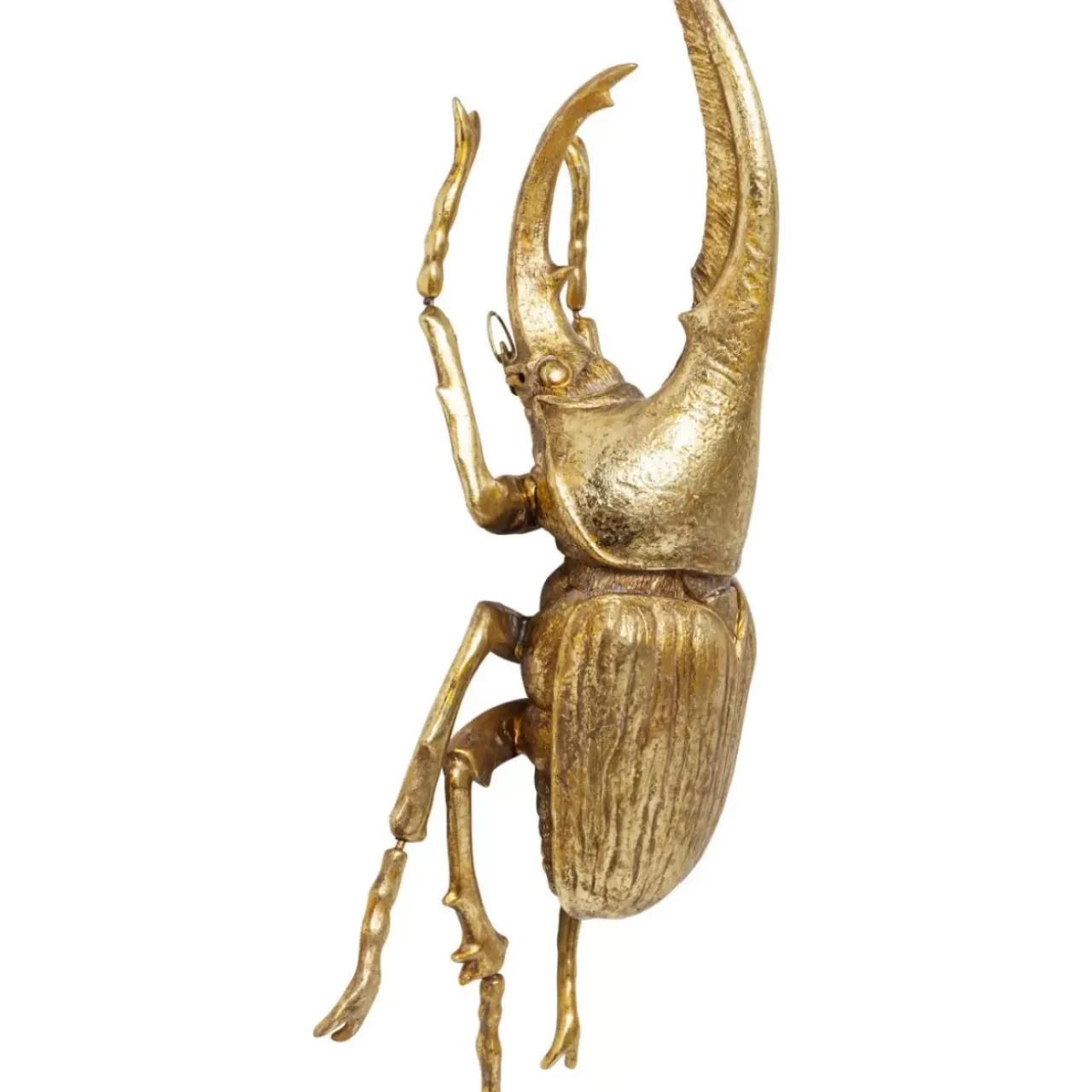 Bilder-KARE Design Wandschmuck Herkules Beetle Gold