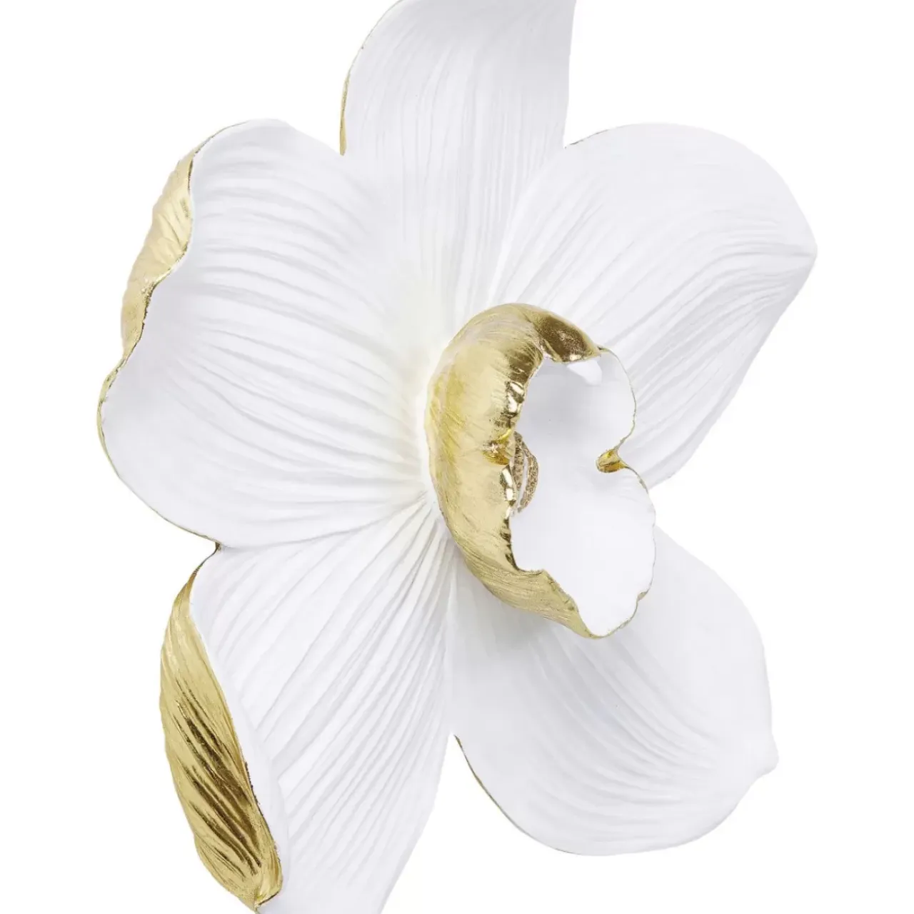 Bilder-KARE Design Wandschmuck Orchid Weis 54Cm
