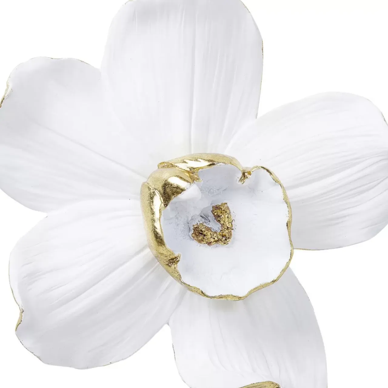 Bilder-KARE Design Wandschmuck Orchid Weis 25Cm