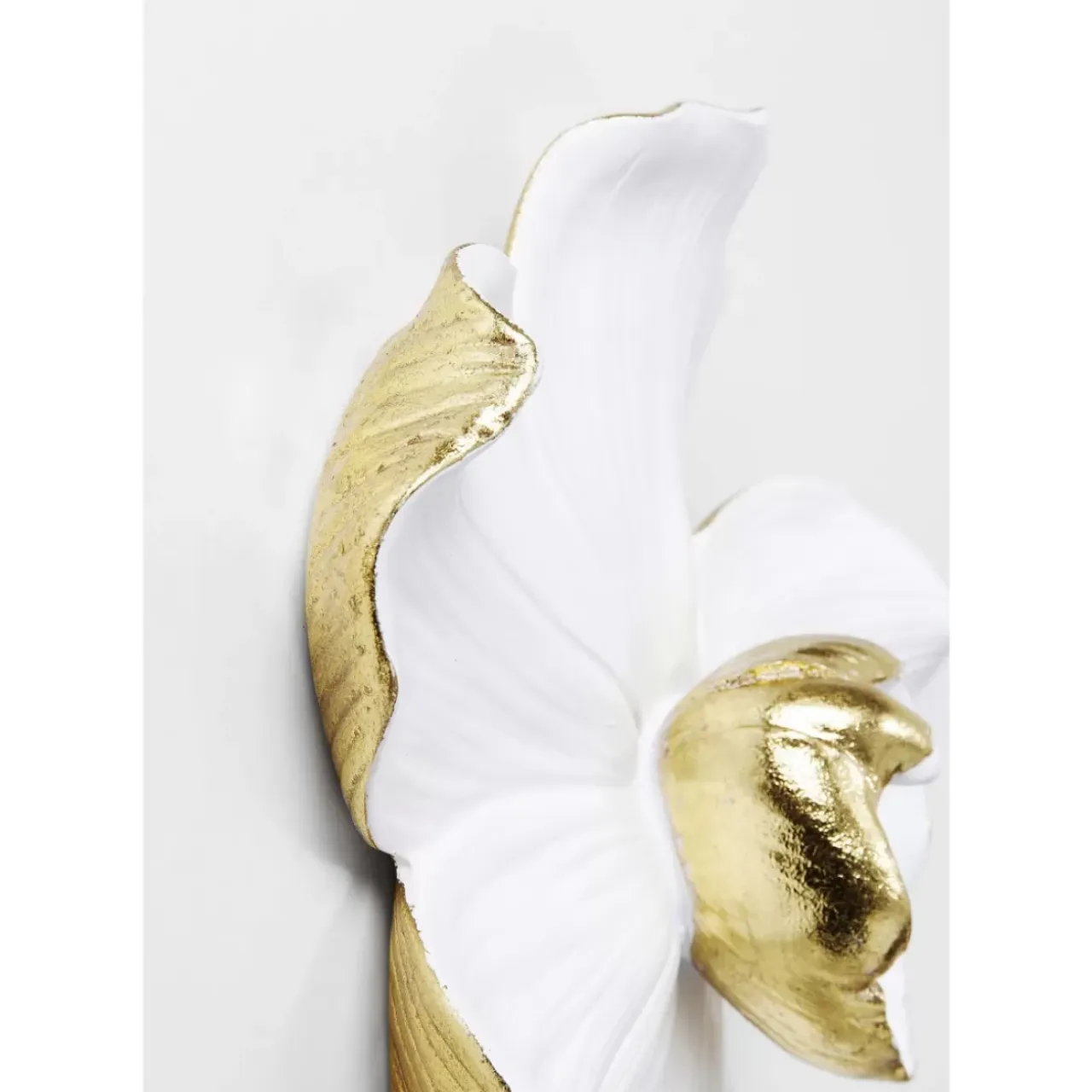 Bilder-KARE Design Wandschmuck Orchid Weis 25Cm