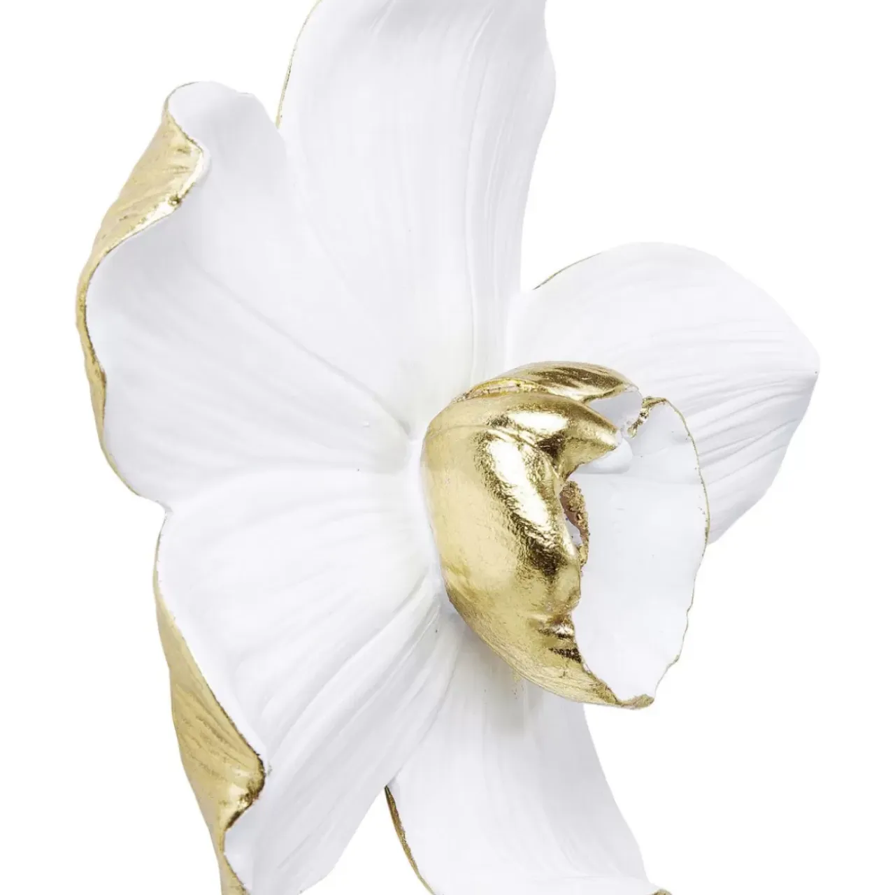 Bilder-KARE Design Wandschmuck Orchid Weis 25Cm
