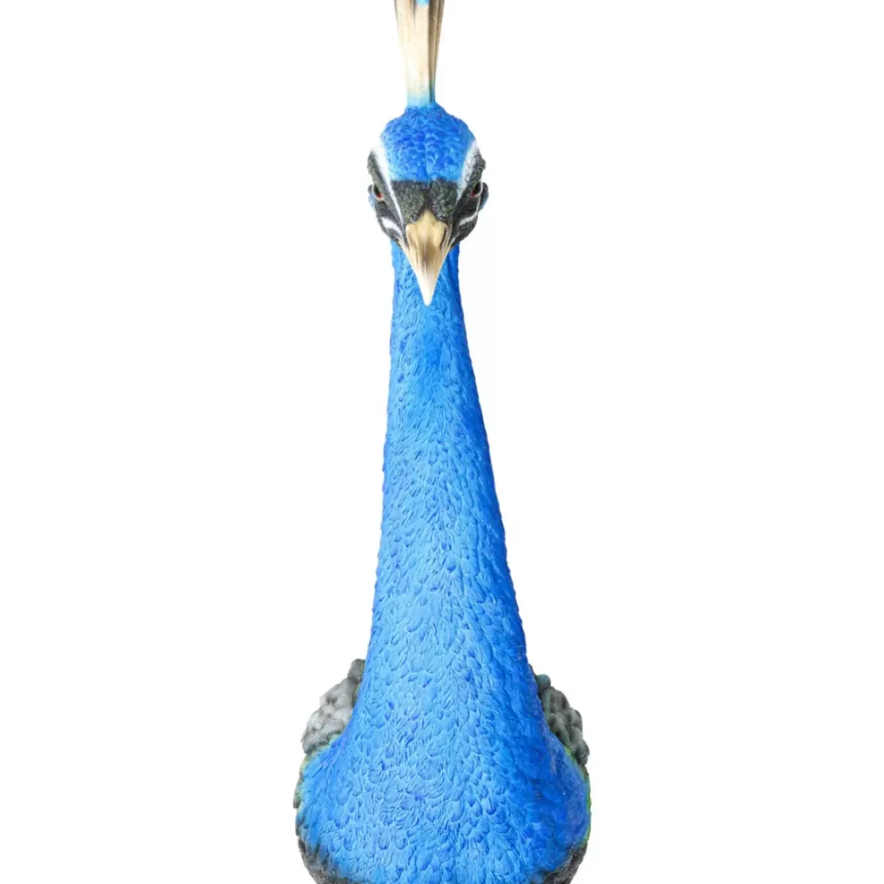 Bilder-KARE Design Wandschmuck Peacock
