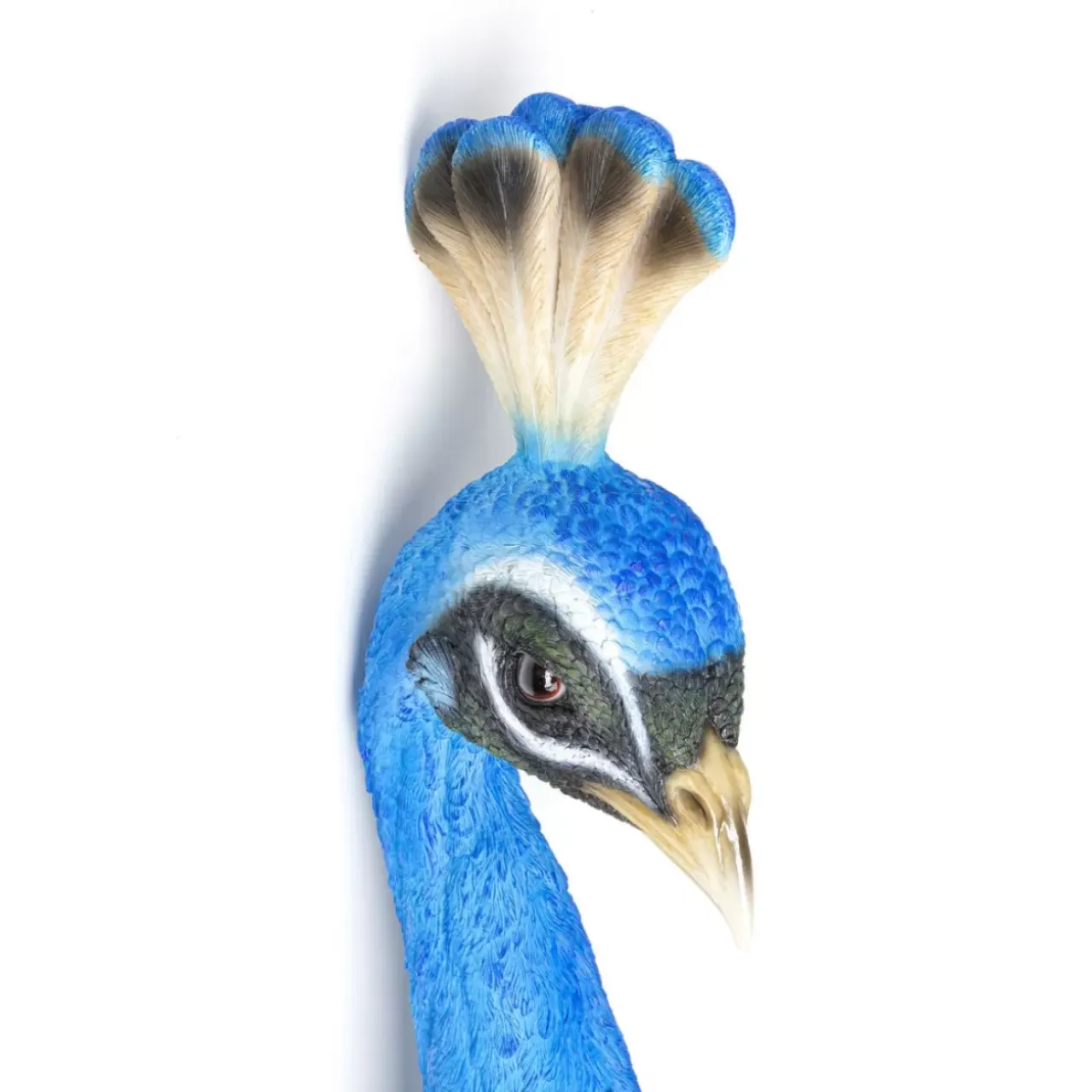 Bilder-KARE Design Wandschmuck Peacock